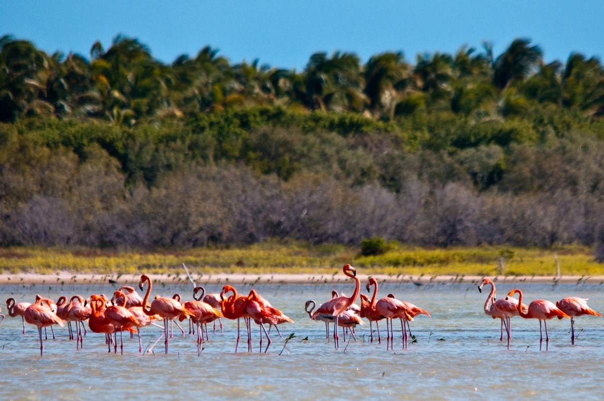 Lagunes d’Oviedo - Parc national de Jaragua
