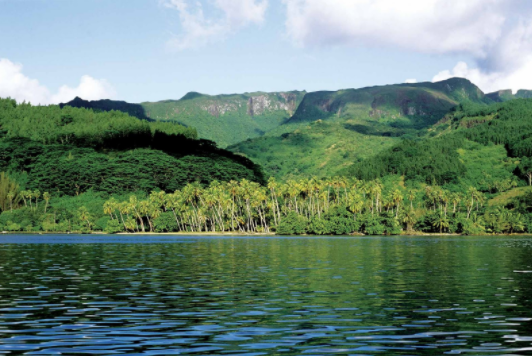 Rivière de Faaroa - Raiatea