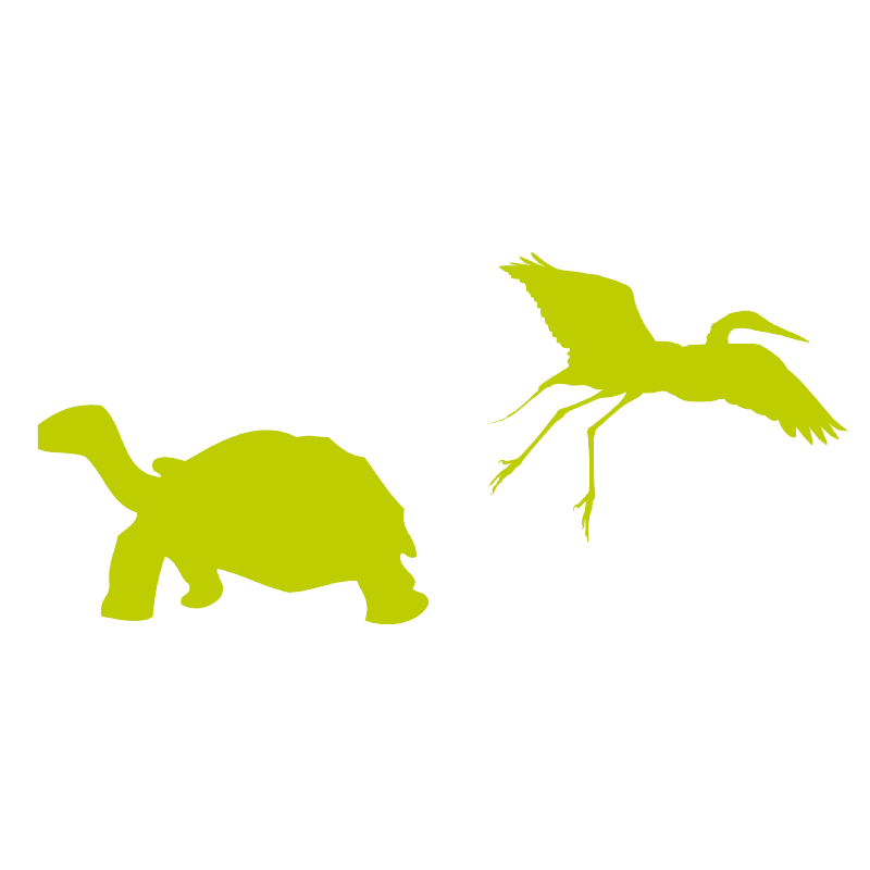 Observation vie sauvage